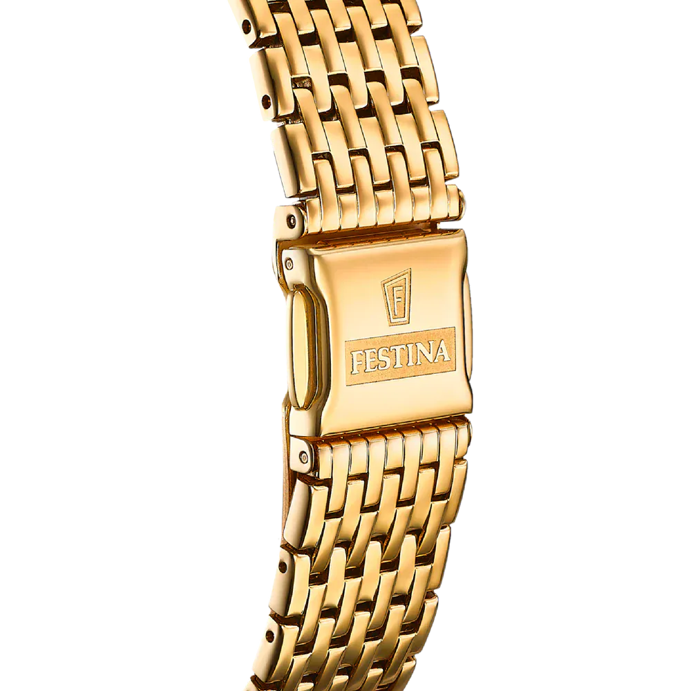 Festina Swiss Sapphire 39mm Gold Dial Men's Watch F20020/2