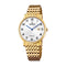 Festina Swiss Sapphire 39mm Silver Dial Men's Watch F20020/4