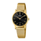 Festina Swiss Sapphire 29mm Black Dial Women's Watch F20023/3