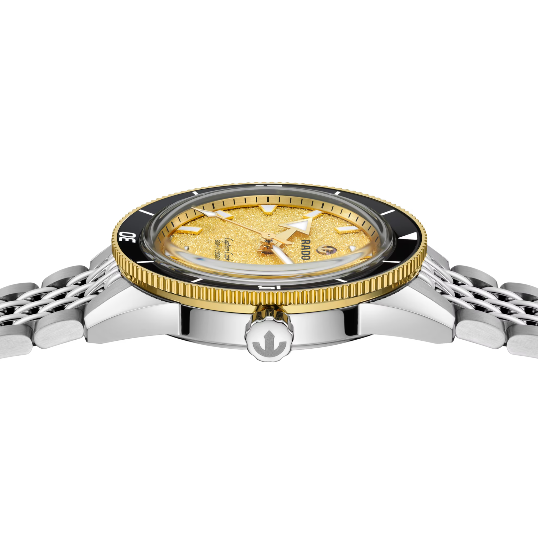 Rado Captain Cook Automatic 39mm Gold Dial Men's Watch R32223258