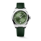 Longines Conquest 38mm Sunray Green Dial Men's Watch L37204029