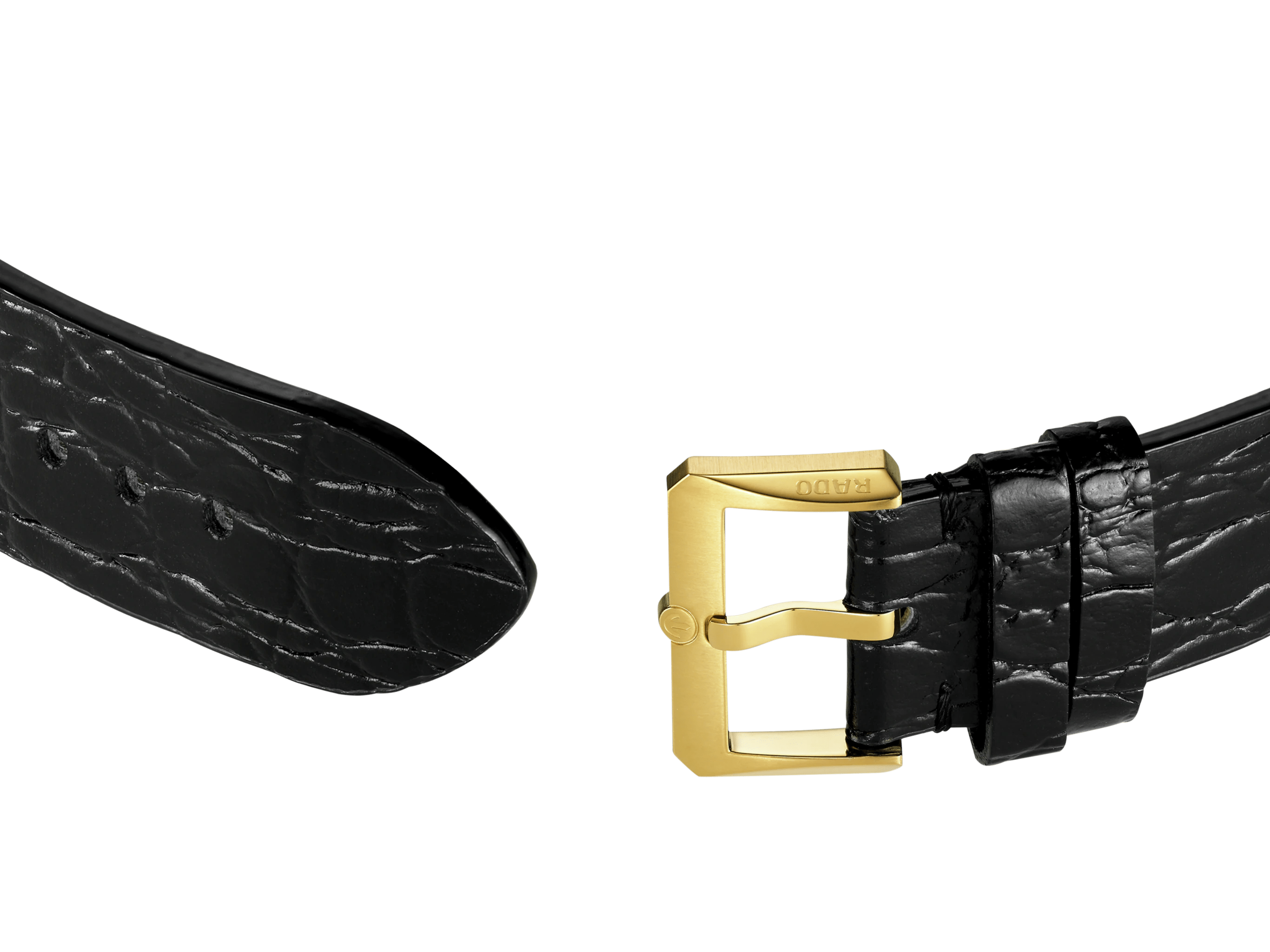 RADO Captain Cook x Marina Hoermanseder Heartbeat Women's Watch R32117708