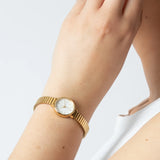 BERING Numerical Link Watch Gold 28mm White Dial Women's Watch 11028-934