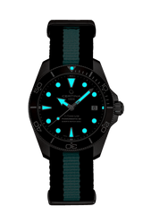 Certina DS Action Diver 38mm Powermatic 80 Grey Dial Men's Watch C0328074808100