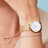 BERING Classic Polished Gold 34mm White Dial Women's Watch 14134-331
