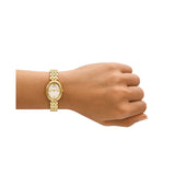 Tory Burch Oval 22mm Cream Dial Women's Watch TBW6032