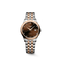 Longines Flagship Classic 30mm Sunray Brown Dial Women's Watch L43743087