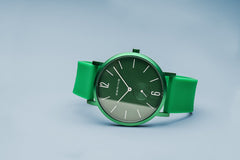 BERING True Aurora Matte Green 40mm Unisex Watch 16940-899