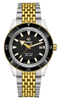 RADO Captain Cook Automatic 42mm Yellow-Gold Stainless Steel Men's Watch R32138153